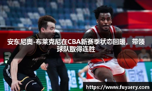 必博BIBOAPP