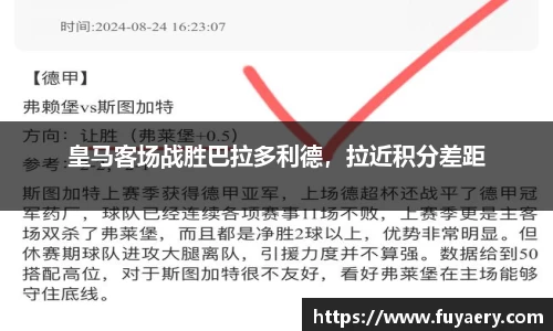 必博BIBO