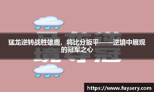 猛龙逆转战胜雄鹿，将比分扳平——逆境中展现的冠军之心