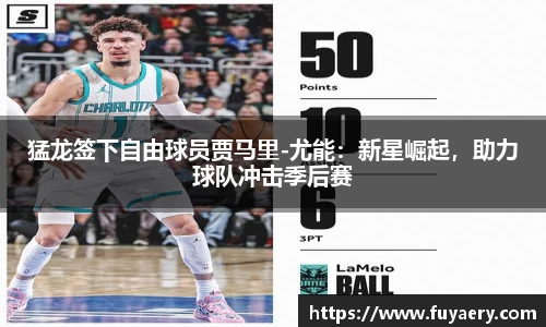 必博BIBO官网