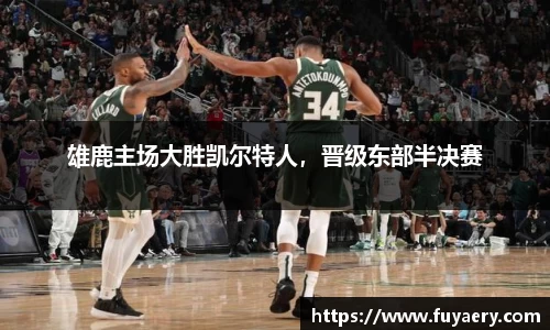 必博BIBO