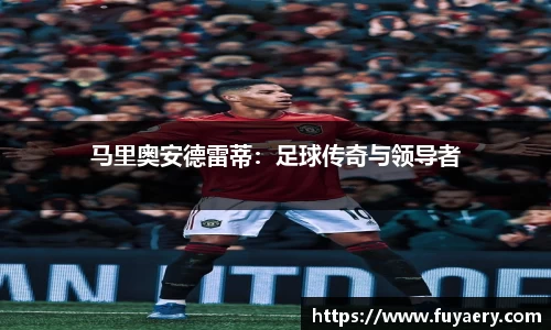 必博BIBO官网
