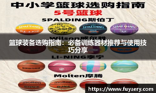 必博BIBO网址
