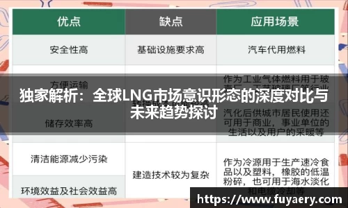 独家解析：全球LNG市场意识形态的深度对比与未来趋势探讨
