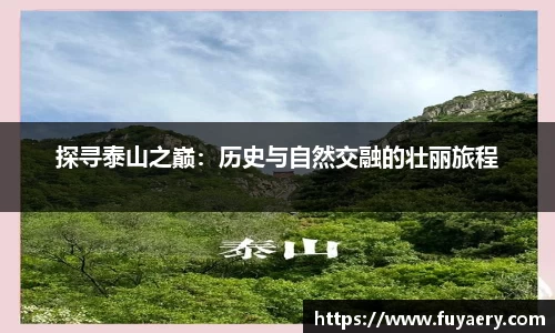 探寻泰山之巅：历史与自然交融的壮丽旅程