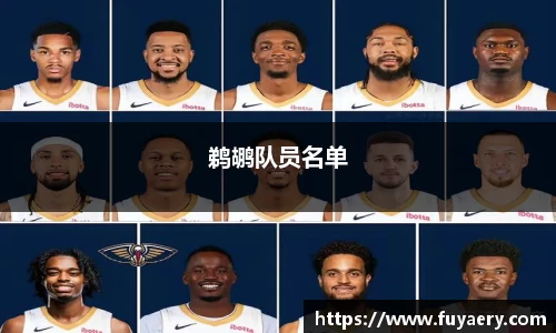 鹈鹕队员名单