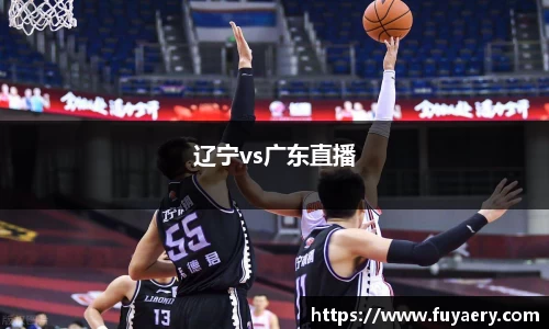 辽宁vs广东直播