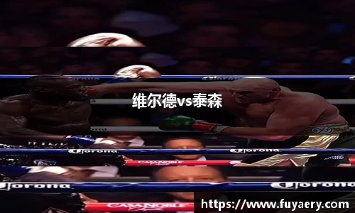 维尔德vs泰森