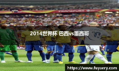 2014世界杯 巴西vs墨西哥