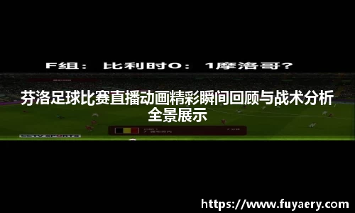 芬洛足球比赛直播动画精彩瞬间回顾与战术分析全景展示