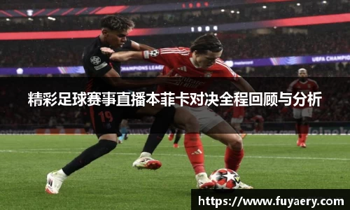 必博BIBO