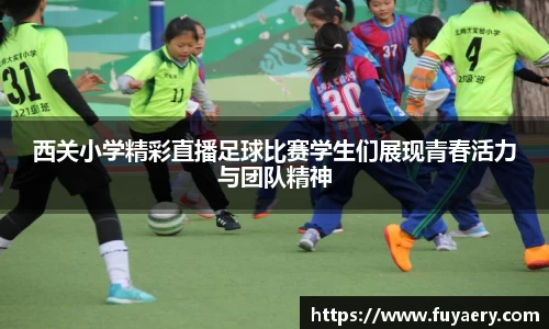 必博BIBO官网