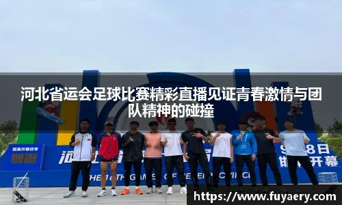 必博BIBO网址