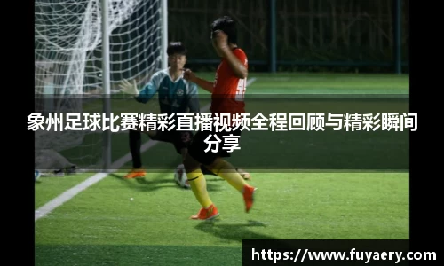 必博BIBO官网