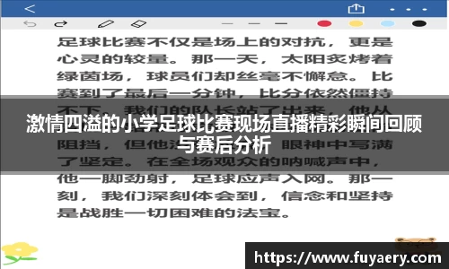 必博BIBO官网