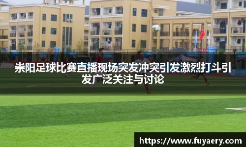 崇阳足球比赛直播现场突发冲突引发激烈打斗引发广泛关注与讨论
