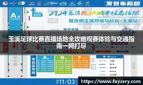 玉溪足球比赛直播场地全攻略观赛体验与交通指南一网打尽