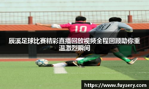 必博BIBO官网