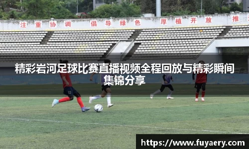 必博BIBO官网