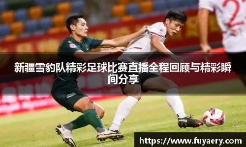 必博BIBO