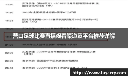 必博BIBO网址