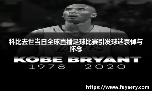 必博BIBO官网