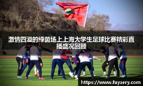 必博BIBO官网