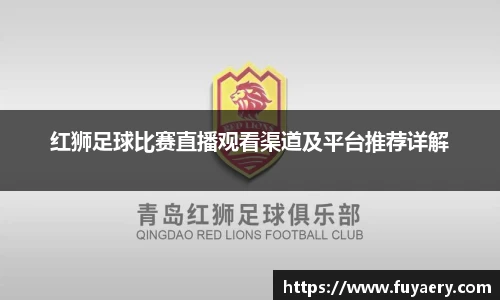 红狮足球比赛直播观看渠道及平台推荐详解