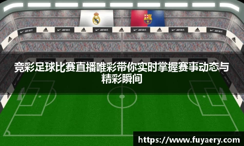 必博BIBO官网
