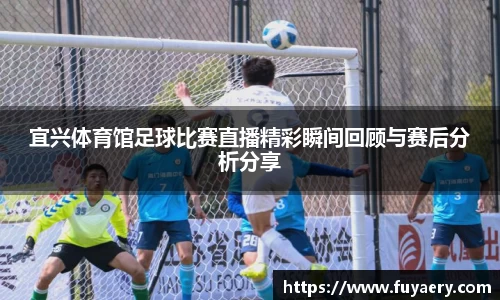 必博BIBO网址