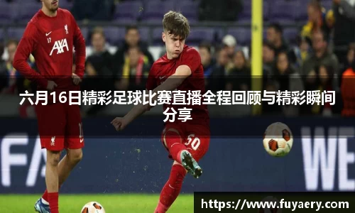必博BIBO官网