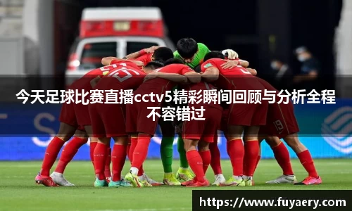 必博BIBO官网