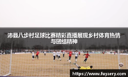 必博BIBO官网