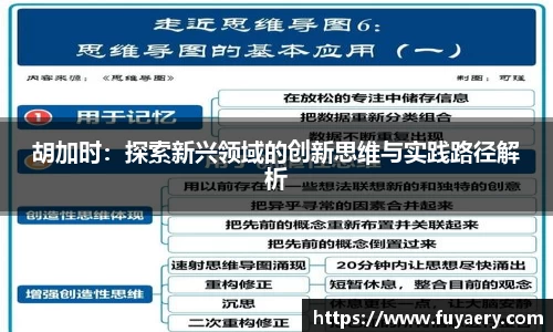 胡加时：探索新兴领域的创新思维与实践路径解析