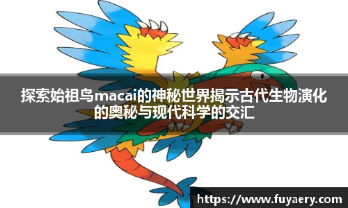 必博BIBO官网